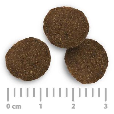 Purizon Wild Met Konijn Adult - Graanvrij Hondenvoer 8 Purizon Wild Met Konijn Adult - Graanvrij Hondenvoer - Afbeelding 6