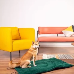 Hondenmat Voor Onderweg Kompas -Exporteren Bitiba winkel 203427 geop reise hundematte kompass hs 01 5