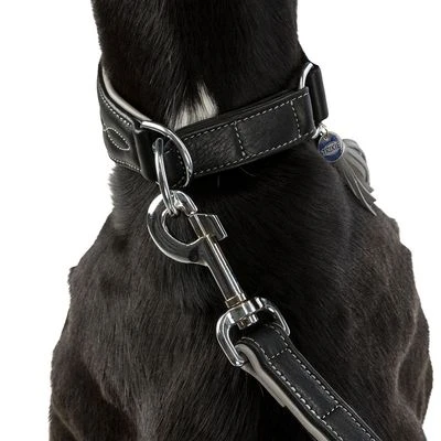 Trixie Active Comfort Halsband Voor Windhonden - Zwart/grijs - Afbeelding 6