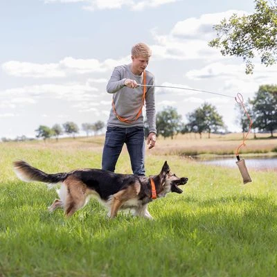 Trixie Triggerhengel Voor Honden 4 Trixie Triggerhengel Voor Honden - Afbeelding 2