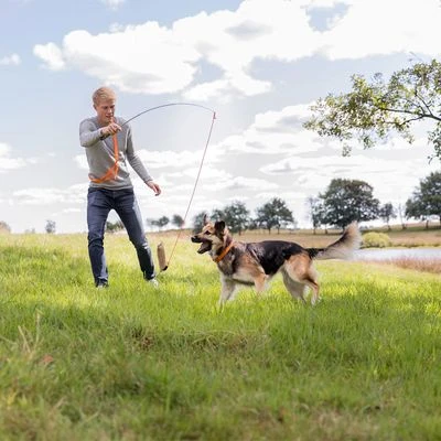 Trixie Triggerhengel Voor Honden 8 Trixie Triggerhengel Voor Honden - Afbeelding 6