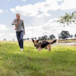 Trixie Triggerhengel Voor Honden 16 Trixie Triggerhengel Voor Honden -Exporteren Bitiba winkel 209093 trixie reizangel hs 08 7