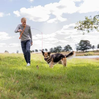 Trixie Triggerhengel Voor Honden 9 Trixie Triggerhengel Voor Honden - Afbeelding 7