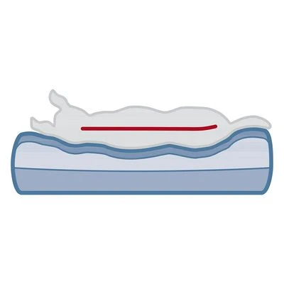 Trixie Vital Bank Bendson 14 Trixie Vital Bank Bendson - Afbeelding 12