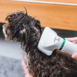 Trixie Heteluchtborstel -Exporteren Bitiba winkel 212217 trixie warmluftbuerste 300w hs 18 5