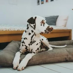 HUNTER Hondenmand Bologna, Steen -Exporteren Bitiba winkel 212954 212955 hunter hundebett bologna stein hs 07 0