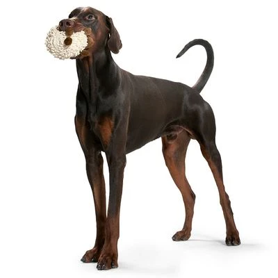 HUNTER Hondenspeelgoed Snugly Schaap 4 HUNTER Hondenspeelgoed Snugly Schaap - Afbeelding 2