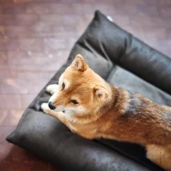 HUNTER Hondenmand Bologna, Zwart -Exporteren Bitiba winkel 214699 214700 hunter hundebett bologna schwarz hs 09 2