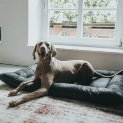 HUNTER Hondenmand Bologna, Zwart -Exporteren Bitiba winkel 214699 214700 hunter hundebett bologna schwarz hs 10 8