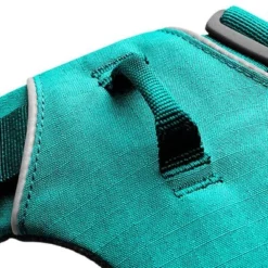 Ruffwear Front Range Hondentuig, Aurora Teal 28 Ruffwear Front Range Hondentuig, Aurora Teal -Exporteren Bitiba winkel 215896 215897 215898 ruffwear frontrange hundegeschirr aurorateal hs 06 1