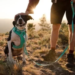 Ruffwear Front Range Hondentuig, Aurora Teal 29 Ruffwear Front Range Hondentuig, Aurora Teal -Exporteren Bitiba winkel 215896 215897 215898 ruffwear frontrange hundegeschirr aurorateal hs 09 4