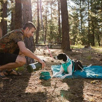 Ruffwear Front Range Hondentuig, Aurora Teal 17 Ruffwear Front Range Hondentuig, Aurora Teal - Afbeelding 15