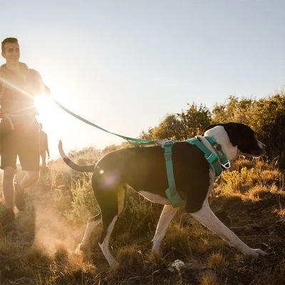 Ruffwear Front Range Hondentuig, Aurora Teal 20 Ruffwear Front Range Hondentuig, Aurora Teal - Afbeelding 18