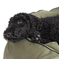 Konin Hondenbed -Exporteren Bitiba winkel 217822 konin pudel fg 8810 8