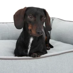 Hondenbed Skara -Exporteren Bitiba winkel 218996 hundebett skara fg 8751 2