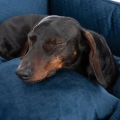 Hondenbed Lublin Met Kussen 18 Hondenbed Lublin Met Kussen -Exporteren Bitiba winkel 218997 hundebett lublin fg 8655 6