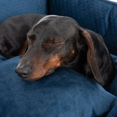 Hondenbed Lublin Met Kussen 6 Hondenbed Lublin Met Kussen - Afbeelding 4