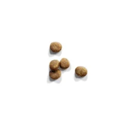 IAMS Pro Active Health Kitten & Junior -Exporteren Bitiba winkel 2191 iams proactive kittenjunior kibbles 3