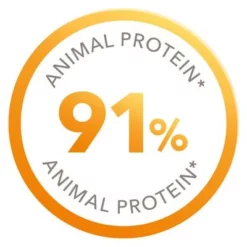 IAMS Pro Active Health Kitten & Junior -Exporteren Bitiba winkel 2191 iams proactive kittenjunior protein 5
