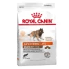Royal Canin Sporting Life Energy Trail 4300 Hondenvoer 2 Royal Canin Sporting Life Energy Trail 4300 Hondenvoer -Exporteren Bitiba winkel 224396 pla royalcanin specialclub energytrail 4300 15kg hs 01 1