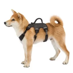 Ferplast Ergotrekking Hondentuigje, Zwart 24 Ferplast Ergotrekking Hondentuigje, Zwart -Exporteren Bitiba winkel 224508 224509 224510 ferplast ergotrekking geschirr schwarz hs 10 4