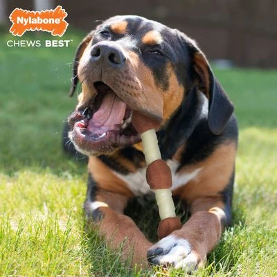 Nylabone Shish Kebab Kauwbot Kip 4 Nylabone Shish Kebab Kauwbot Kip - Afbeelding 2