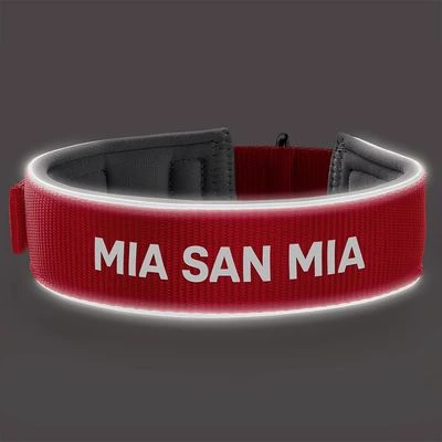 Hunter Kraag Neopreen Reflectie FC Bayern München - Afbeelding 5