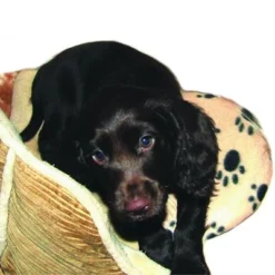 Warmtekussen "SnuggleSafe" 15 Warmtekussen "SnuggleSafe" -Exporteren Bitiba winkel 22802 snugglesafe heizkissen f r haustiere hs dog 1