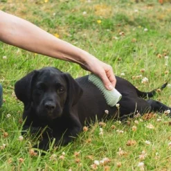 Pet Teezer Puppyborstel -Exporteren Bitiba winkel 230724 pet teezer welpenbuerste hs 17 0