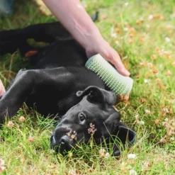 Pet Teezer Puppyborstel -Exporteren Bitiba winkel 230724 pet teezer welpenbuerste hs 19 6