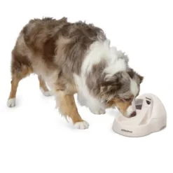 Petmate Fresh Flow Deluxe Drinkfontein 3 L -Exporteren Bitiba winkel 23406 petmate fresh flow deluxe creme hs 02 9