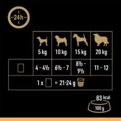 Cesar Selectie Vlees En Groenten In Gelei -Exporteren Bitiba winkel 250998 mars cesar selektion fleisch gemuesegelee hs 08 6