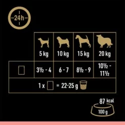 Cesar Selectie Vlees En Groente In Saus 13 Cesar Selectie Vlees En Groente In Saus -Exporteren Bitiba winkel 251096 mars cesar selektion fleisch gemuese sauce 12x100g hs 08 9