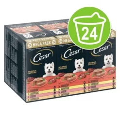 Megapak Cesar Kuipjes 24 X 150 G Hondenvoer