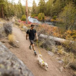 RUFFWEAR Hi & Light Leash -Exporteren Bitiba winkel 262501 accapi ruffwear hi light leash lichengreen hs 12 0