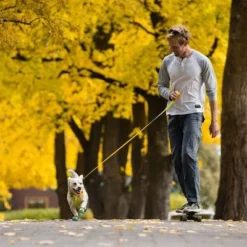 RUFFWEAR Hi & Light Leash -Exporteren Bitiba winkel 262501 accapi ruffwear hi light leash lichengreen hs 13 5