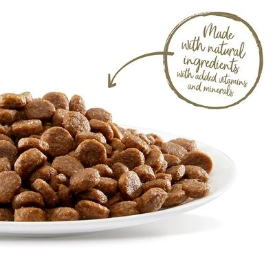 Applaws Kip & Zalm Kattenvoer 8 Applaws Kip & Zalm Kattenvoer - Afbeelding 6