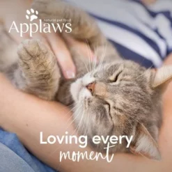 Applaws Kip & Zalm Kattenvoer 19 Applaws Kip & Zalm Kattenvoer -Exporteren Bitiba winkel 26663 applaws cat adult huhnlachs 400g hs 07 4