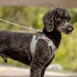 Curli Extreem Sterke Zaklijn -Exporteren Bitiba winkel 267896 267897 ultrastarke taschenleine hs 05 3