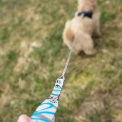 Curli Extreem Sterke Zaklijn -Exporteren Bitiba winkel 267896 267897 ultrastarke taschenleine hs 06 3