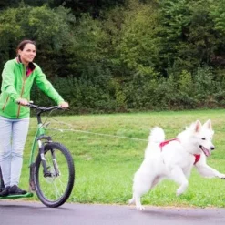 Curli Extreem Sterke Zaklijn -Exporteren Bitiba winkel 267896 267897 ultrastarke taschenleine hs 07 2