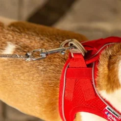 Curli Extreem Sterke Zaklijn -Exporteren Bitiba winkel 267896 267897 ultrastarke taschenleine hs 10 7