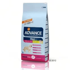 Advance Maxi Senior -Exporteren Bitiba winkel 276748 0