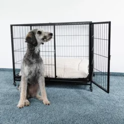 HAFENBANDE Kamerbench Cabin -Exporteren Bitiba winkel 280405 waagenschmitt hafenbande zimmerkaefig cabin hs 06 9