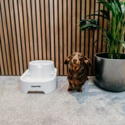 CAT MATE Dog Mate Drinkfontein, 6 Liter -Exporteren Bitiba winkel 281796 closer pets trinkbrunnen 6 liter hs 05 2