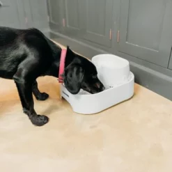 CAT MATE Dog Mate Drinkfontein, 6 Liter -Exporteren Bitiba winkel 281796 closer pets trinkbrunnen 6 liter hs 06 2