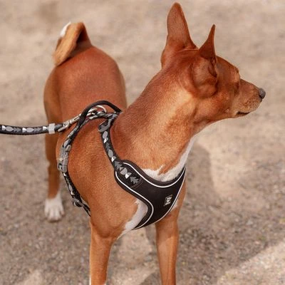 Hurtta Bare Y-Geschirr, Coal 11 Hurtta Bare Y-Geschirr, Coal - Afbeelding 9