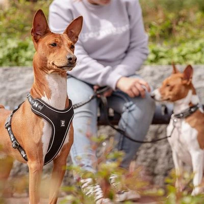 Hurtta Bare Y-Geschirr, Coal 16 Hurtta Bare Y-Geschirr, Coal - Afbeelding 14