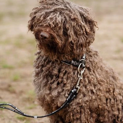 Hurtta Bare Trek-stop Halsband, Coal - Afbeelding 6