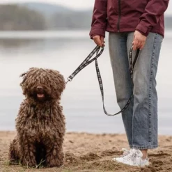 Hurtta Bare Verstelbare Looplijn, Coal 7 Hurtta Bare Verstelbare Looplijn, Coal -Exporteren Bitiba winkel 288348 hurtta bare verstellbare fuehrleine coal hs 02 1